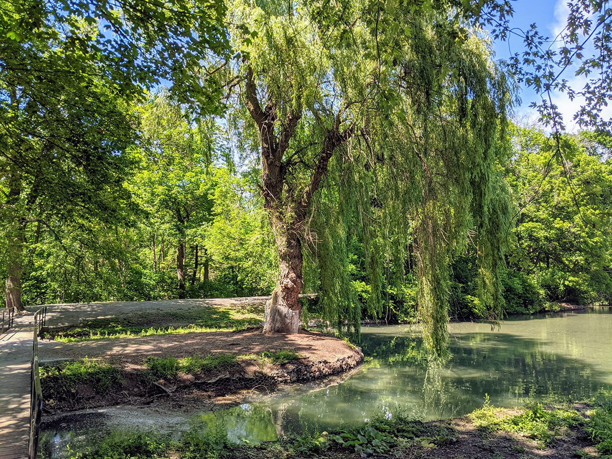 Dufferin Islands Have You Been? Howard Johnson Plaza by Wyndham by